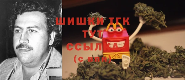 твердый Армянск
