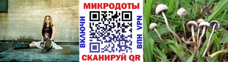 как найти закладки  Армянск  Галлюциногенные грибы прущие грибы 